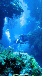 85 feet at Palancar reef by Bob Jeannetti 